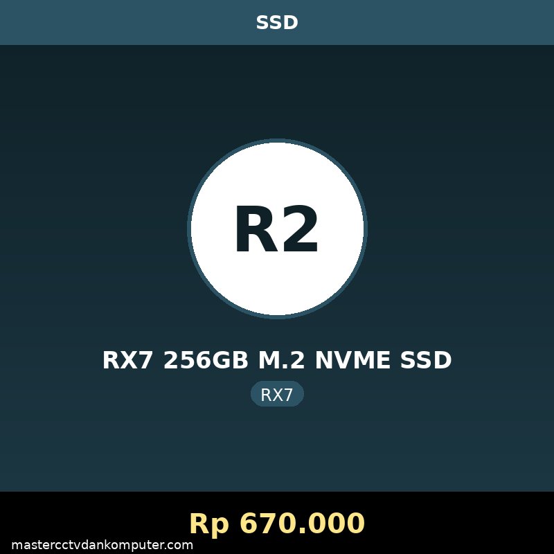 RX7 256GB M.2 NVME SSD