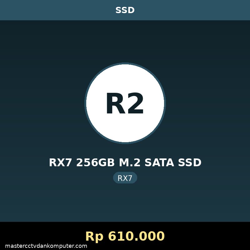 RX7 256GB M.2 SATA SSD