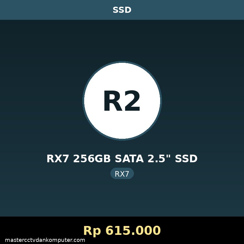 RX7 256GB SATA 2.5" SSD