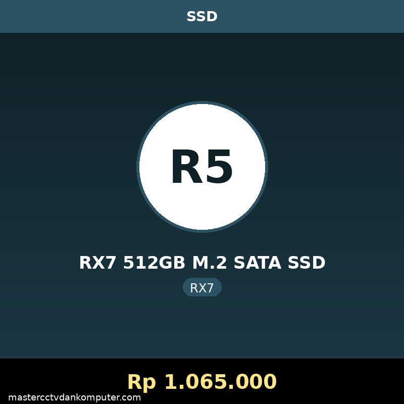 RX7 512GB M.2 SATA SSD